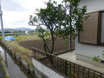P20130501-may-5.JPG