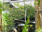 P20130501-may-6.JPG