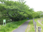 P20130501-may-7.JPG