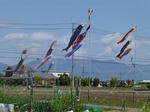 P20130503-GW-1.JPG