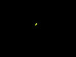 P20130603-hotaru-1.JPG