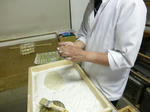 P20130603-hotaru-5.JPG