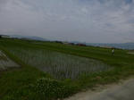 P20130604-june-1.JPG