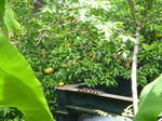 P20130604-june-5.JPG