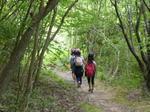P20130610-walk-rally-3.JPG