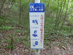 P20130610-walk-rally-8.JPG