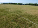 P20130617-shibakari-1.JPG