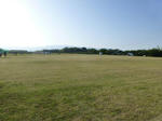 P20130617-shibakari-4.JPG
