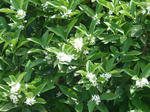 P20130701-july-2.JPG