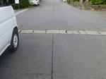 P20130715-suzume-1.JPG