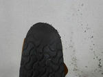 P20130803-birken-1.JPG