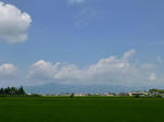 P20130807-summer.JPG