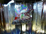 P20130823-nouryou-festa-4.JPG