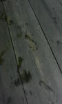 200710191548001.jpg