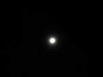 7f58be28.jpg
