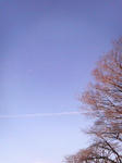 52853a88.JPG
