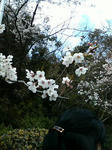 P1000166.JPG