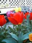 P1000171.JPG