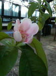 P1000175.JPG