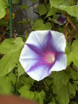 P1000205.JPG