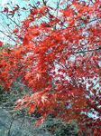 P1000226.JPG