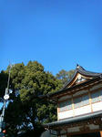 P1000255.JPG