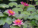 a47c047e.jpg