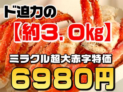訳あり ボイルタラバ蟹足 約3kg