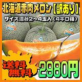 北海道赤肉メロン
