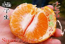 愛媛産『チビマロ完熟みかん』３ｋｇ