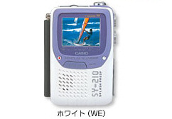 CASIO 液晶テレビ SY-210WE