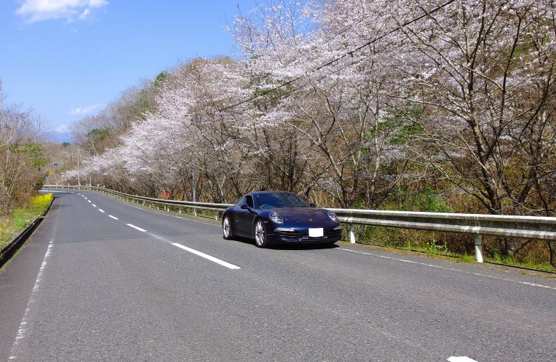 岡山お花見ドライブ - 津山城・満開桜 2025 -|ドライブまにあ 岡山お花見ドライブ - 津山城・満開桜 2025 -|ドライブまにあ