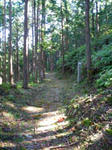 熊野古道