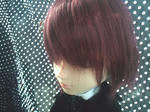 2007_10040001.JPG