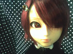 2007_10040004.JPG