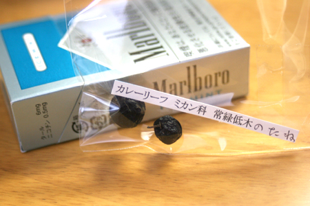画像ファイル "https://blog.cnobi.jp/v1/blog/user/6a53fe77b9ee375ff9521fd92b149fae/1200669244" は壊れているため、表示できませんでした。