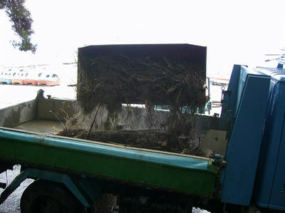 s-P7070014.jpg