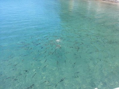 20130613_114953.jpg