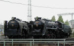 P8130015s.jpg