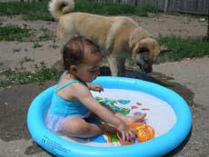 水遊び
