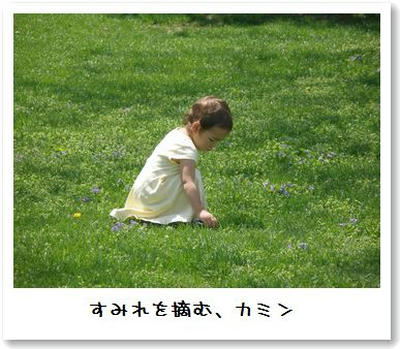 カミン、すみれ摘み