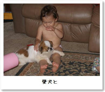 愛犬と