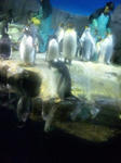 DVC00610-s.jpg