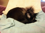 CIMG0167.JPG