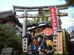 CIMG0199-s.jpg