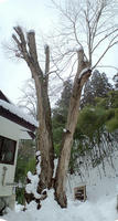 c841442e.jpg