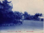 0cf81ac7.jpg