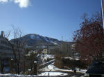 50961c1f.jpg