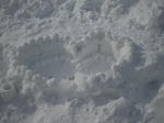 24bd6761.jpg