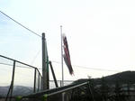 c43c0de7.jpg